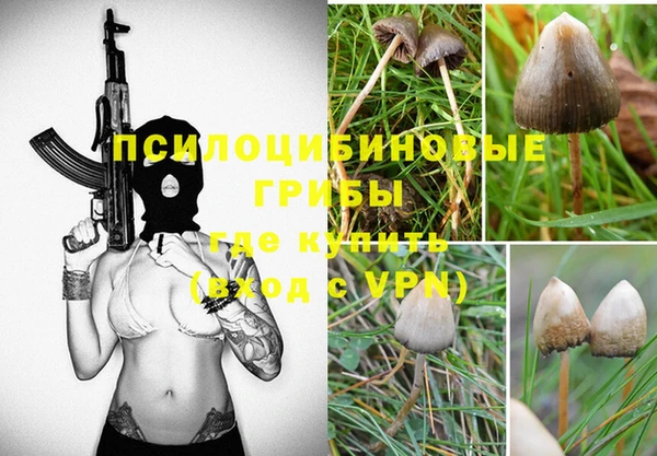 экстази Кулебаки