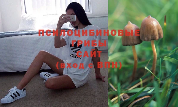 мескалин Кукмор