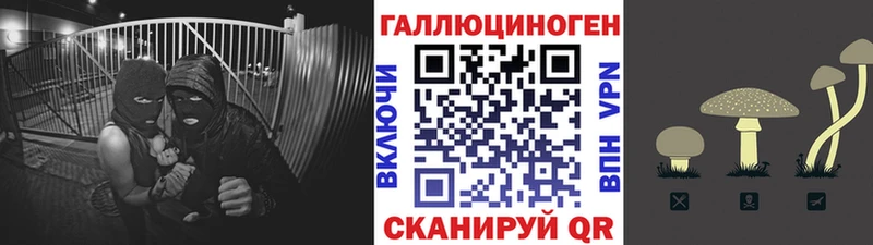 Псилоцибиновые грибы Psilocybine cubensis  купить наркотики сайты  Кисловодск 