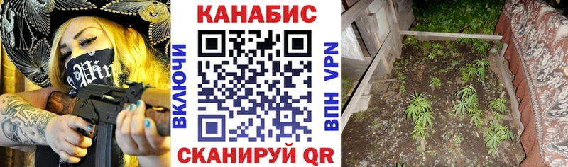 Конопля семена  где можно купить наркотик  MEGA маркетплейс  Кисловодск 